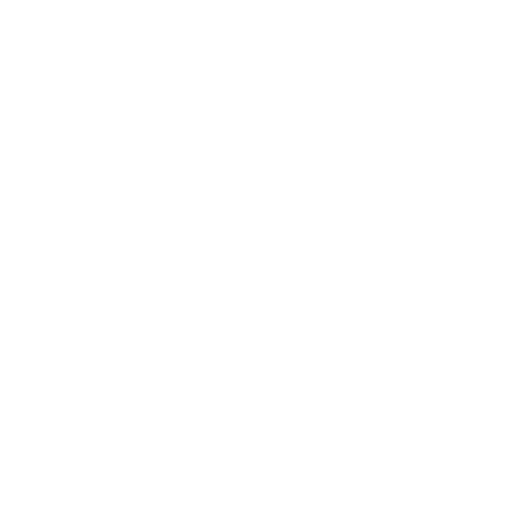 BroneBoy AI